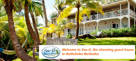 Das Sea-U Guest House bei Bathsheba: Von einer Deutsch sprechenden Besitzerin pers�nlich gef�hrtes G�stehaus.