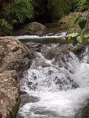 Klarer Gebirgsbach auf rund 1500 m �ber dem Meer  � Taktuk Domrep
