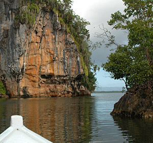 Nationalpark Los Haitises � N.Bruhn/CariLat