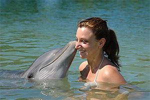 Hugh Parkey's Belize Dolphin Experience � N.Bruhn/CariLat