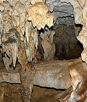 Belize: Im Jahr 2000 entdeckte H�hle im Pecarry Park � N.Bruhn/CariLat