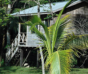 Belize: Typisches Pfahlhaus � N.Bruhn/CariLat
