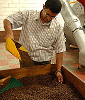 Ger�steter Kaffee in der Concepci�n de Ataco, Beneficio de Caf� (Produktionsst�tte f�r mehrere Kaffeebauern). � N.Bruhn/CariLat