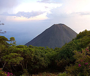 Blick auf den 1957 erloschenen Vulkan Izalco vom Nationalpark Cerro Verde � N.Bruhn/CariLat 